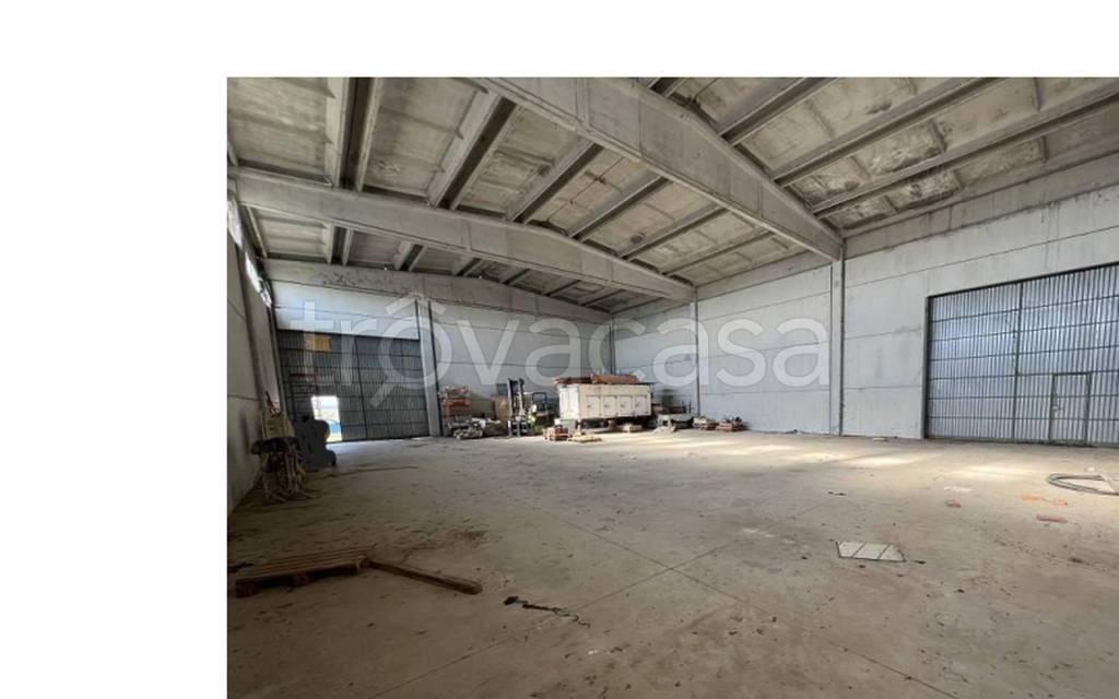 immagine annuncio 2 di 11