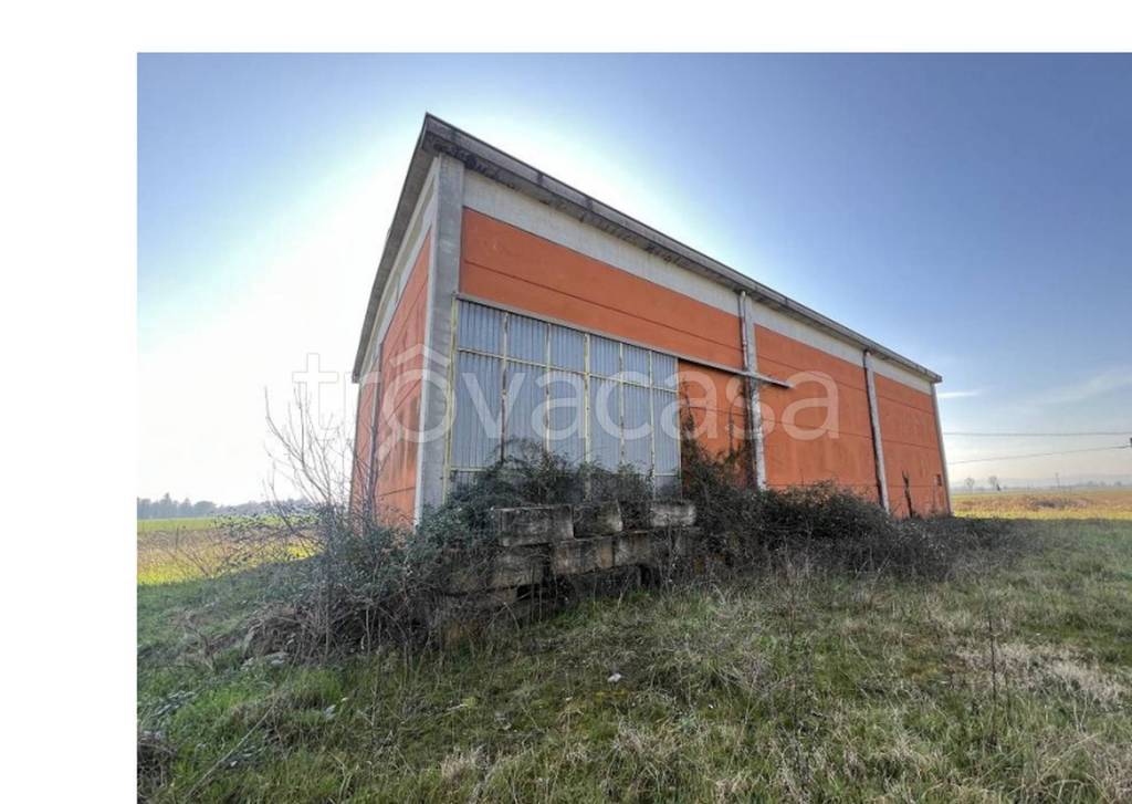 immagine annuncio 4 di 11