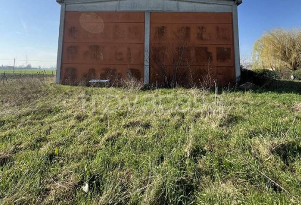 immagine annuncio 5 di 11