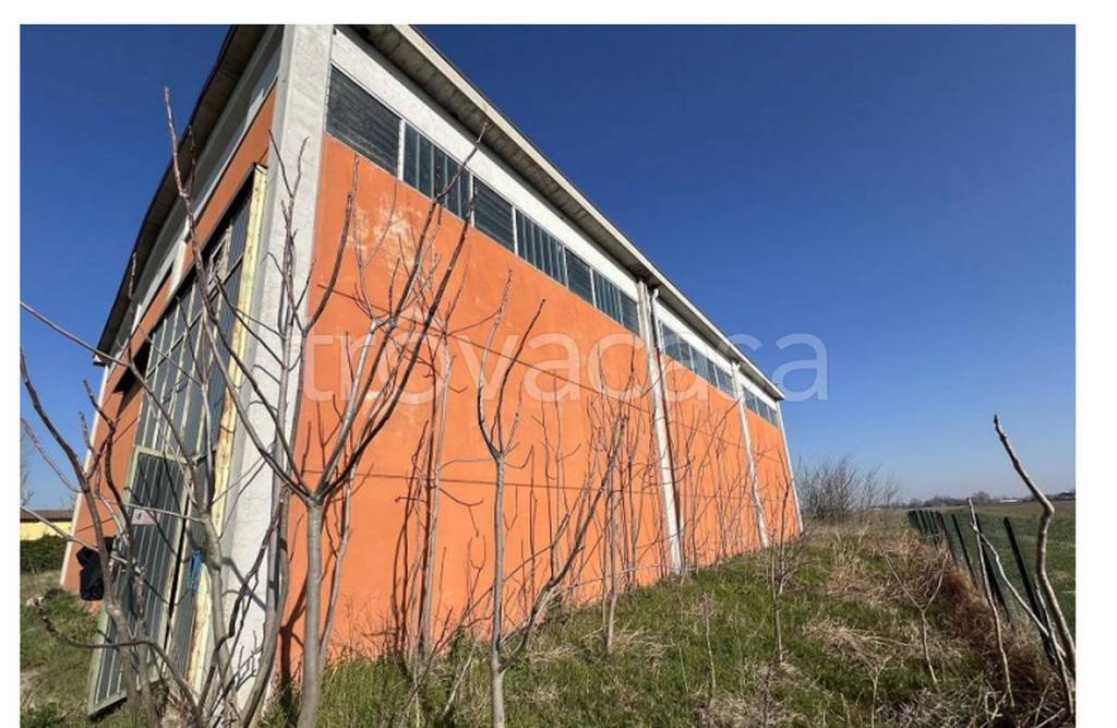 immagine annuncio 6 di 11