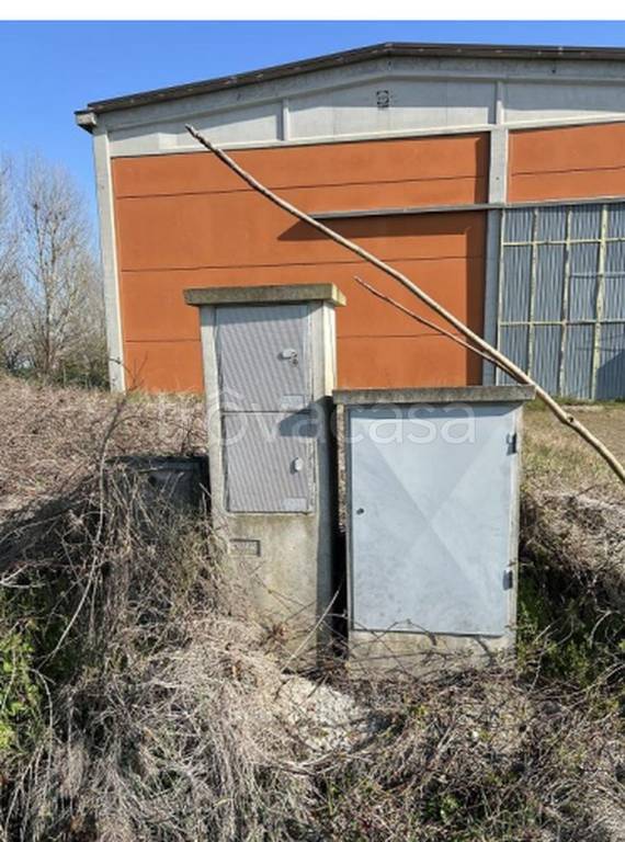 immagine annuncio 7 di 11