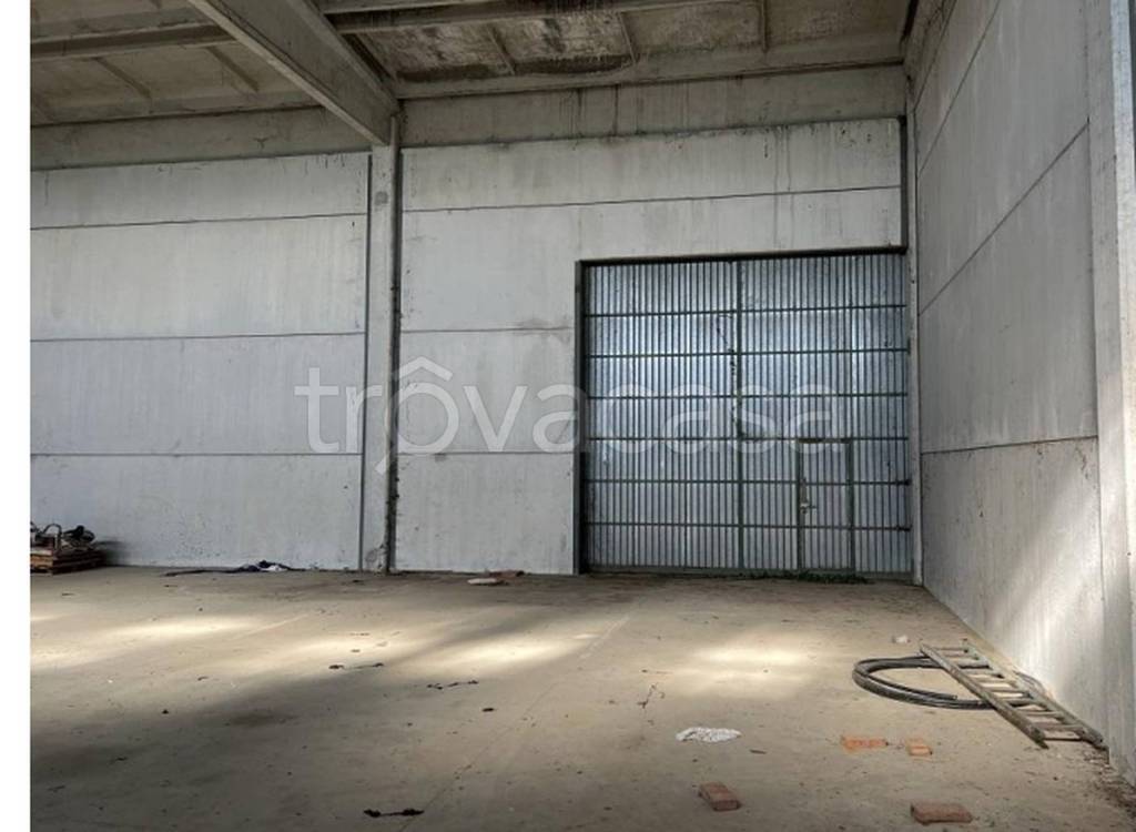 immagine annuncio 9 di 11