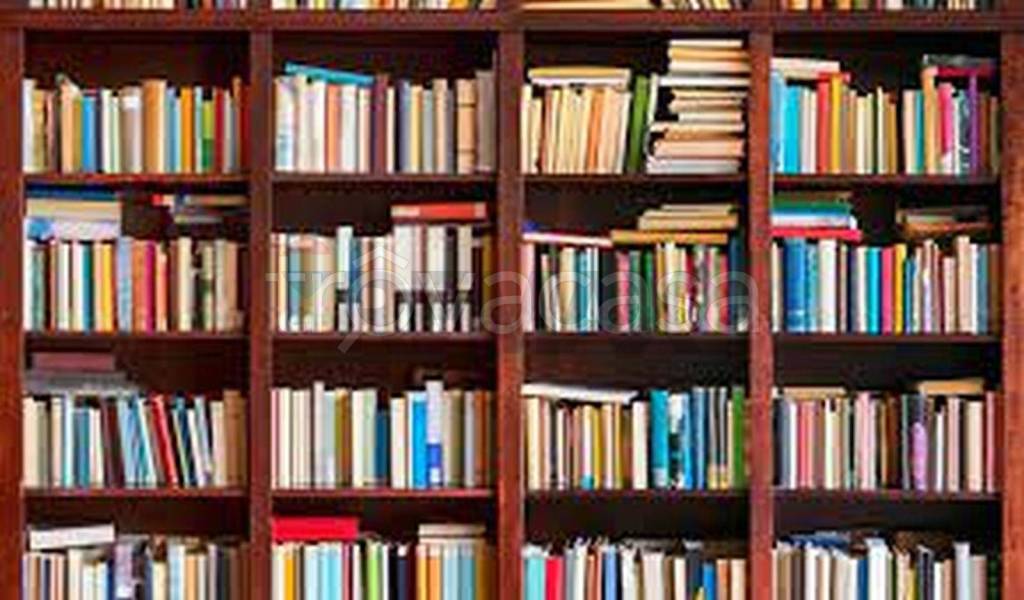 immagine annuncio 3 di 6