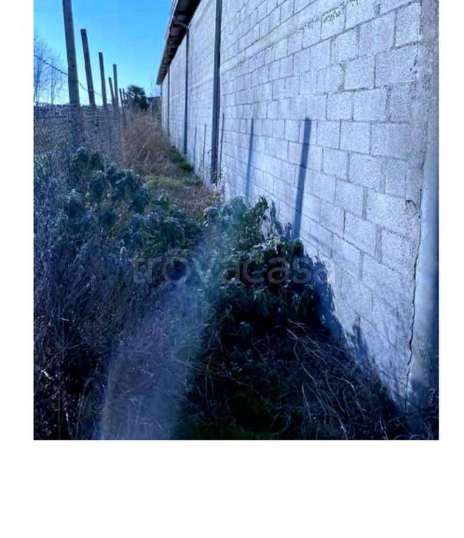 immagine annuncio 5 di 11