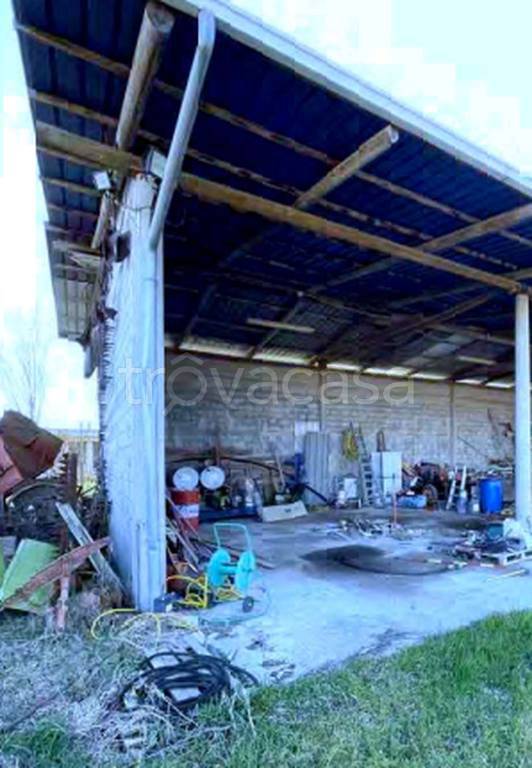 immagine annuncio 7 di 11