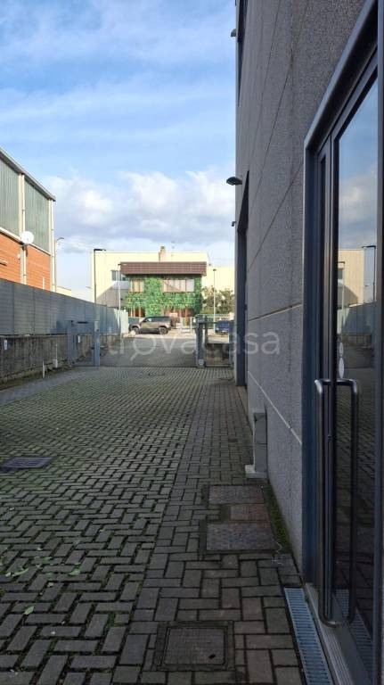 immagine annuncio 6 di 11