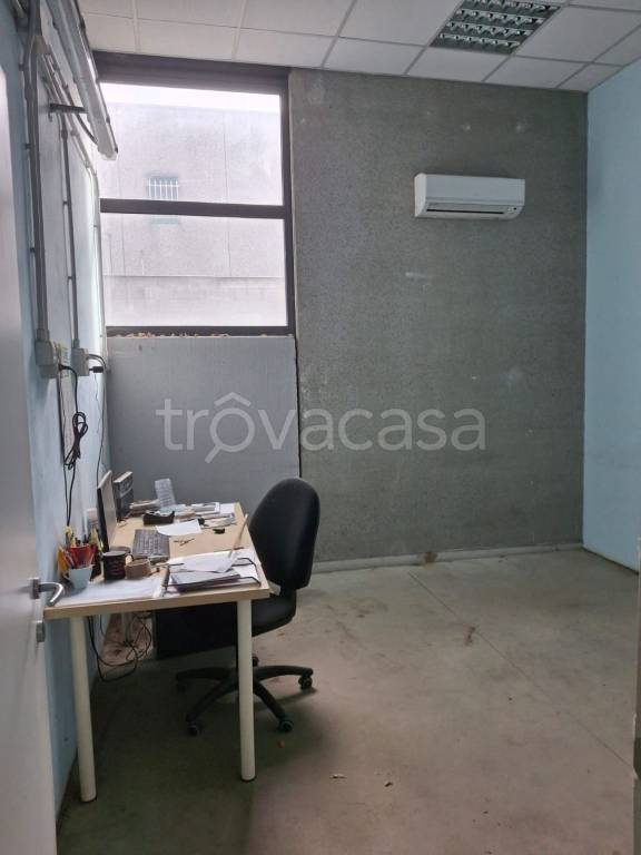 immagine annuncio 9 di 11