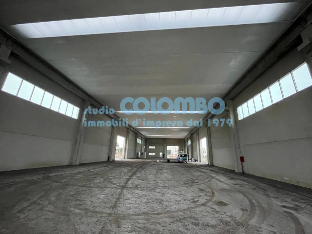 immagine annuncio 2 di 8