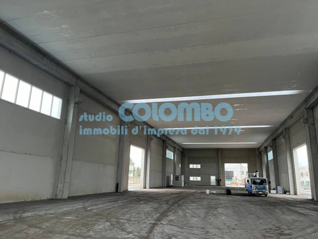 immagine annuncio 3 di 8