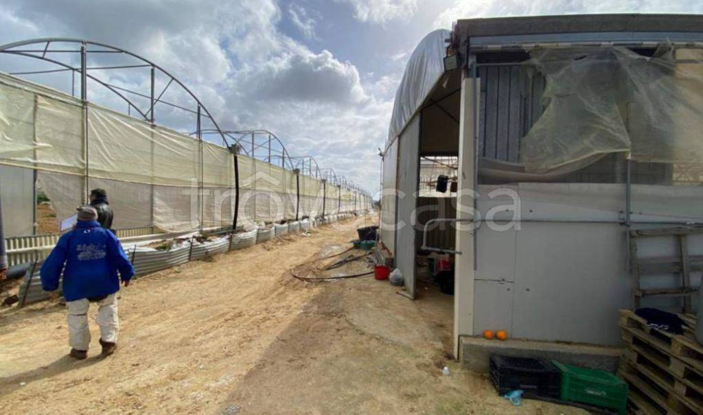 immagine annuncio 2 di 14