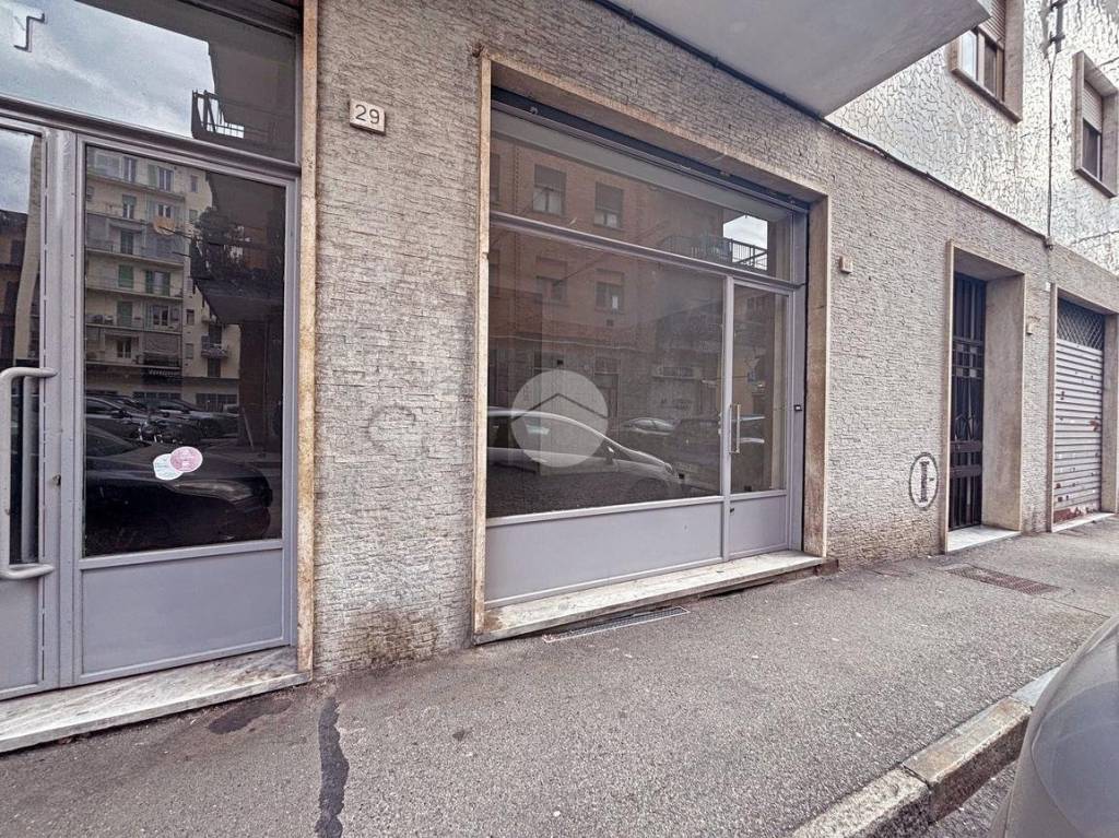 immagine annuncio 1 di 8