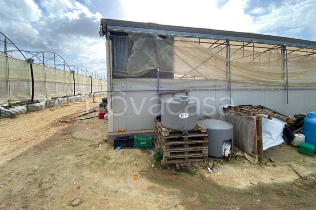 immagine annuncio 11 di 14