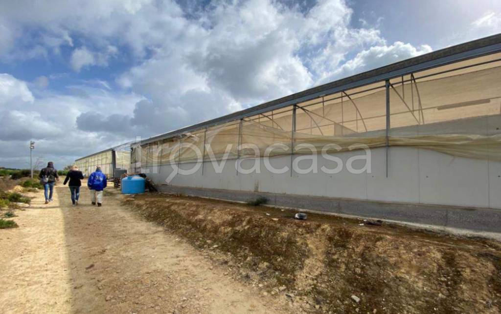 immagine annuncio 12 di 14