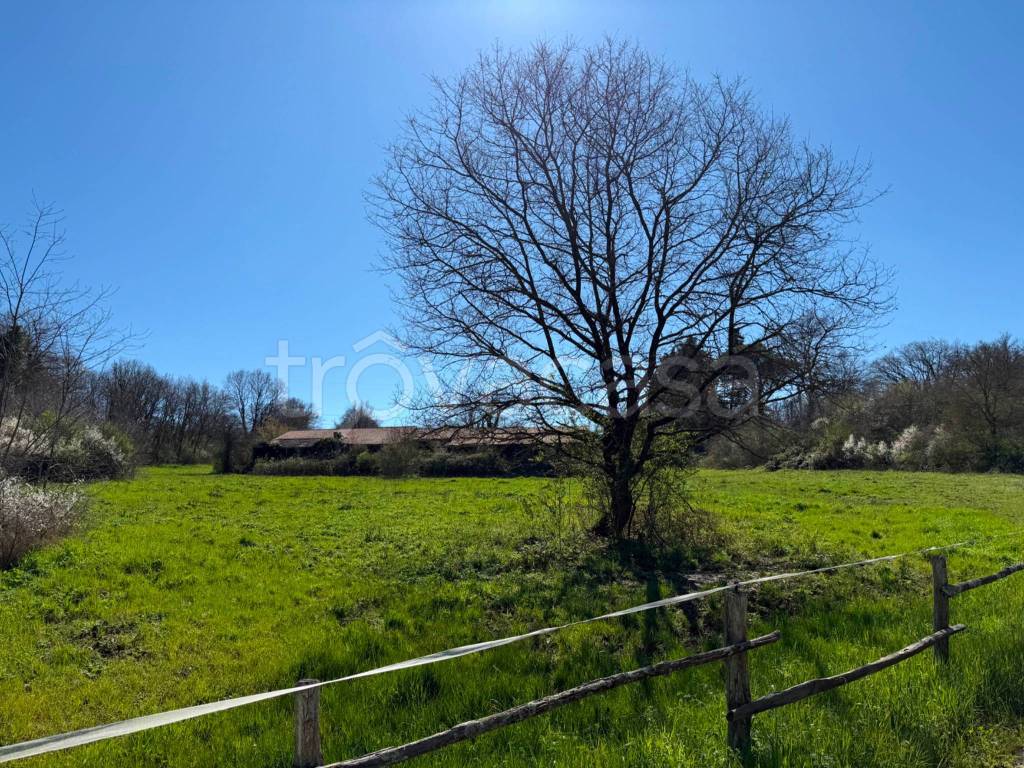 immagine annuncio 10 di 13