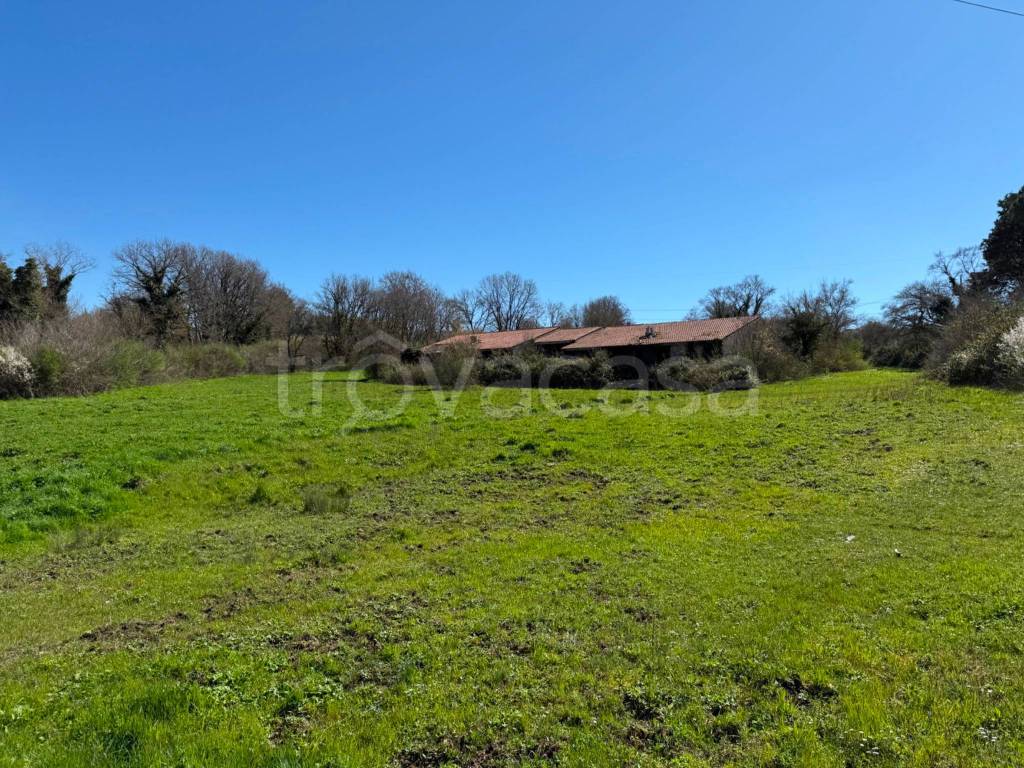 immagine annuncio 12 di 13