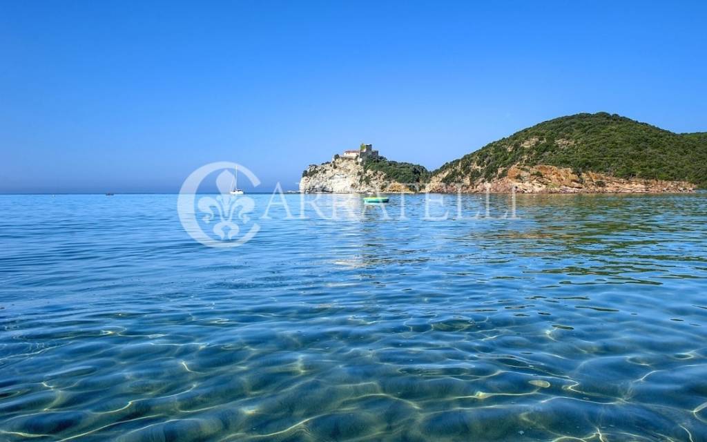 immagine annuncio 1 di 6