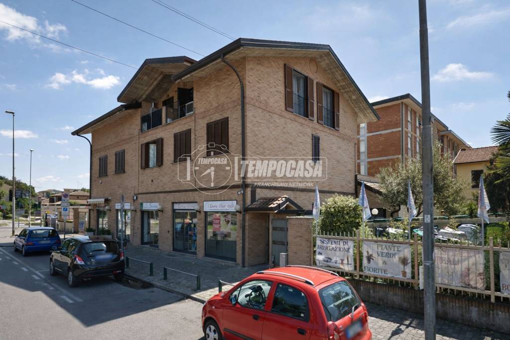 immagine annuncio 3 di 6