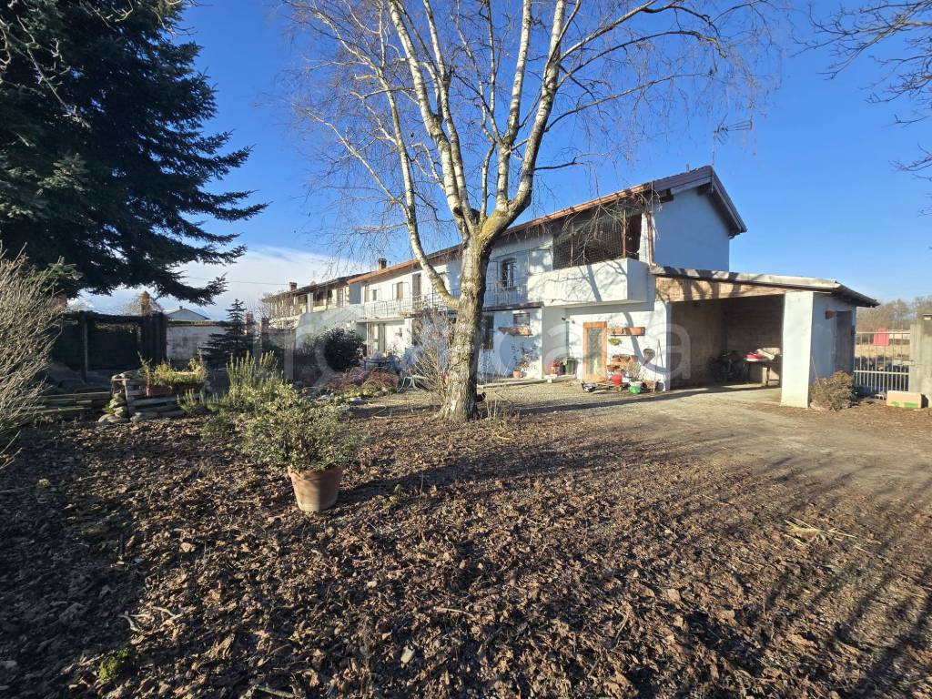 immagine annuncio 1 di 15