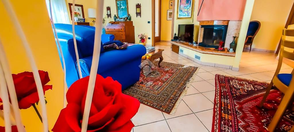 immagine annuncio 11 di 15