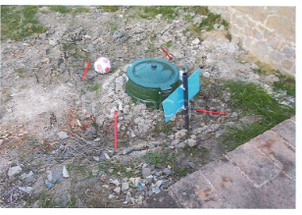 immagine annuncio 6 di 11