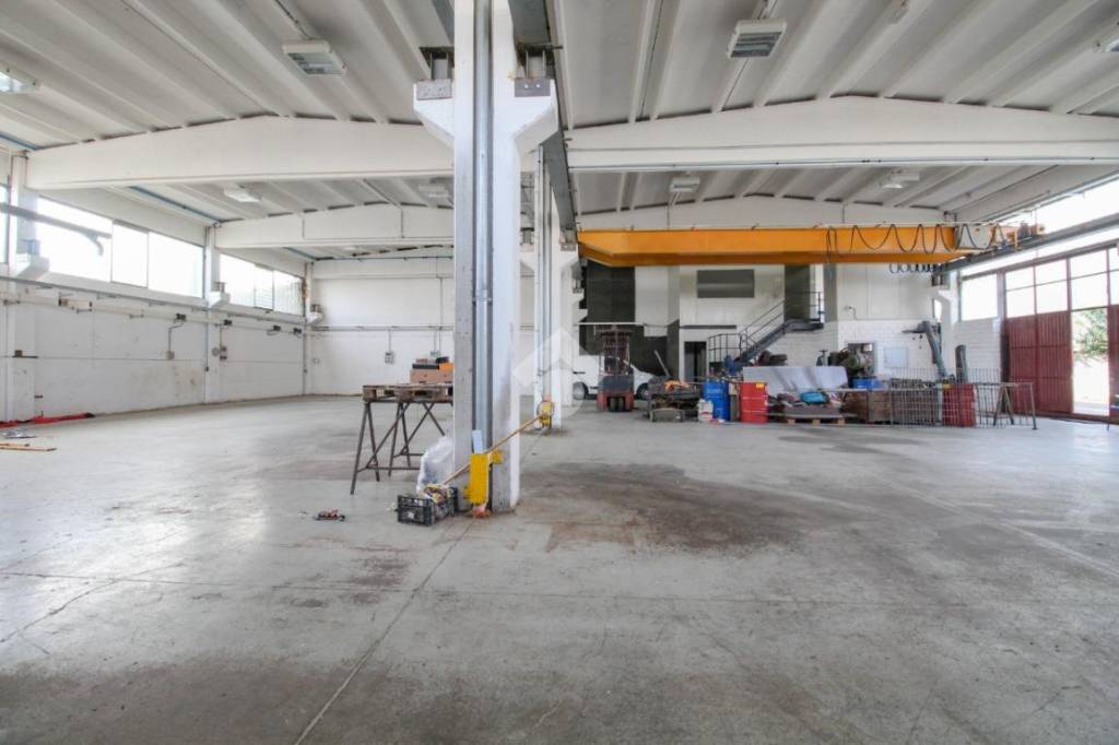 immagine annuncio 3 di 15