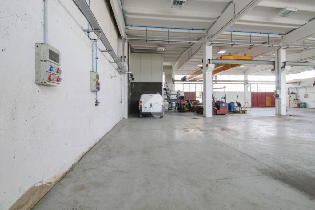 immagine annuncio 7 di 15