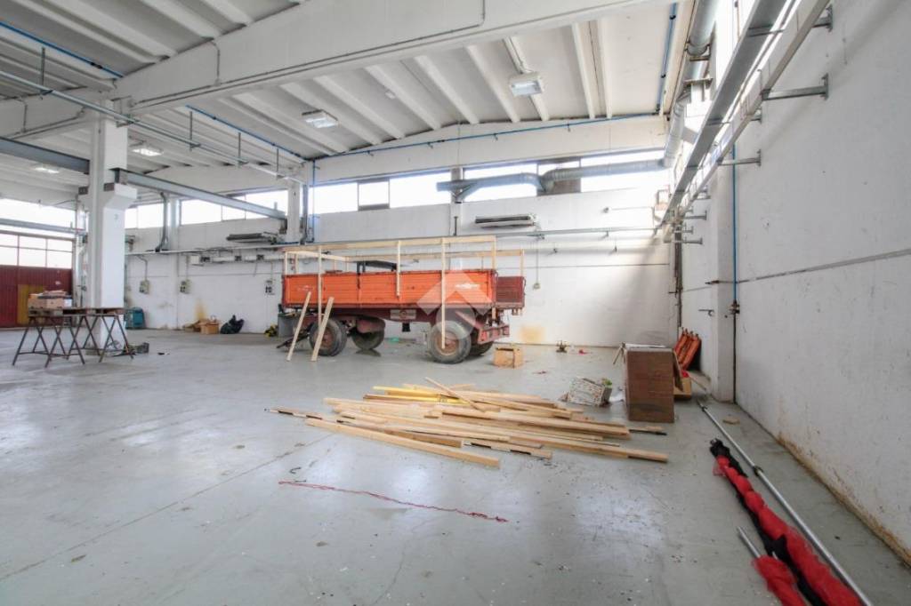 immagine annuncio 9 di 15