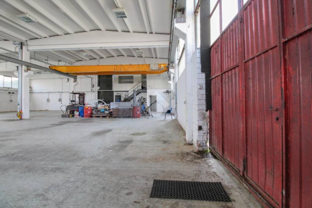 immagine annuncio 10 di 15