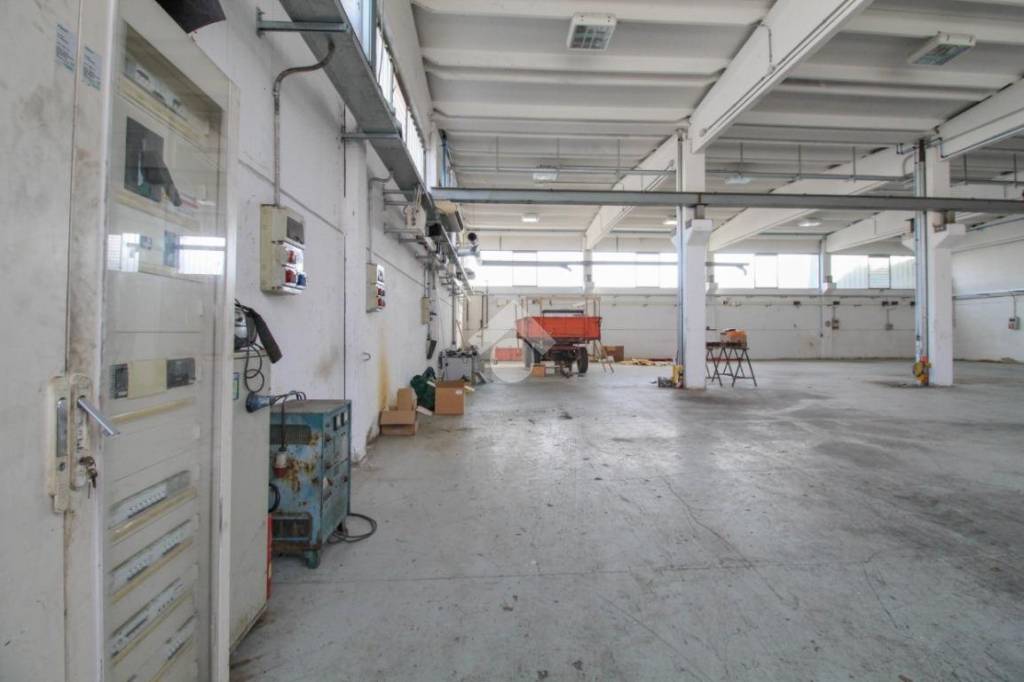 immagine annuncio 11 di 15