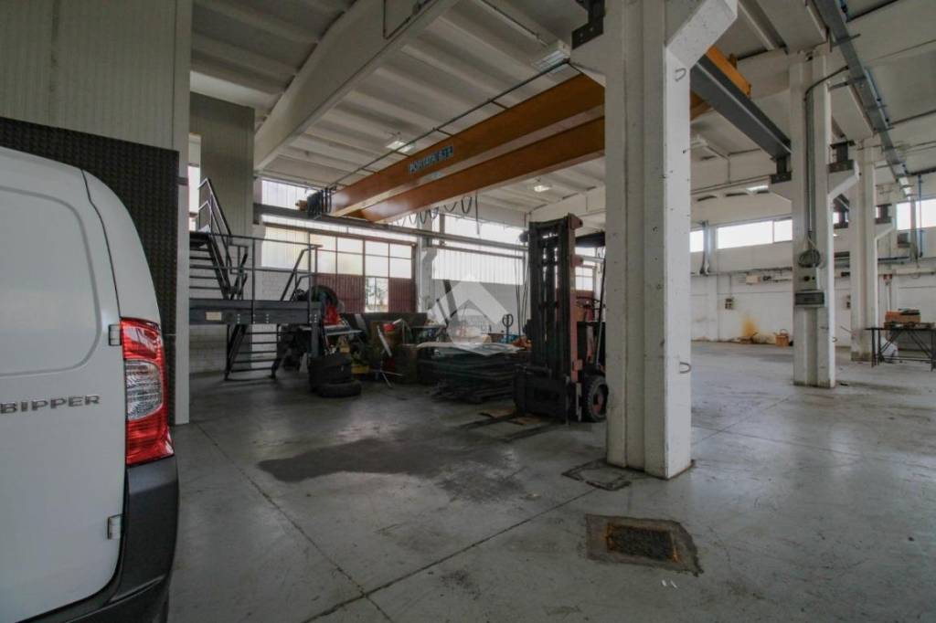 immagine annuncio 12 di 15