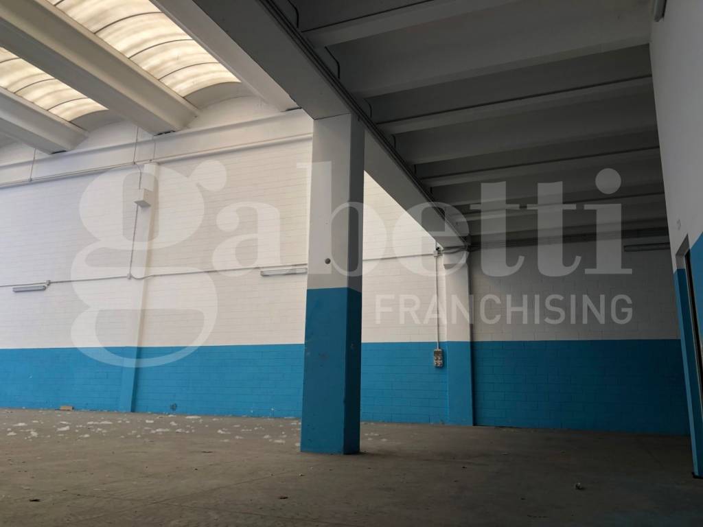 immagine annuncio 2 di 12