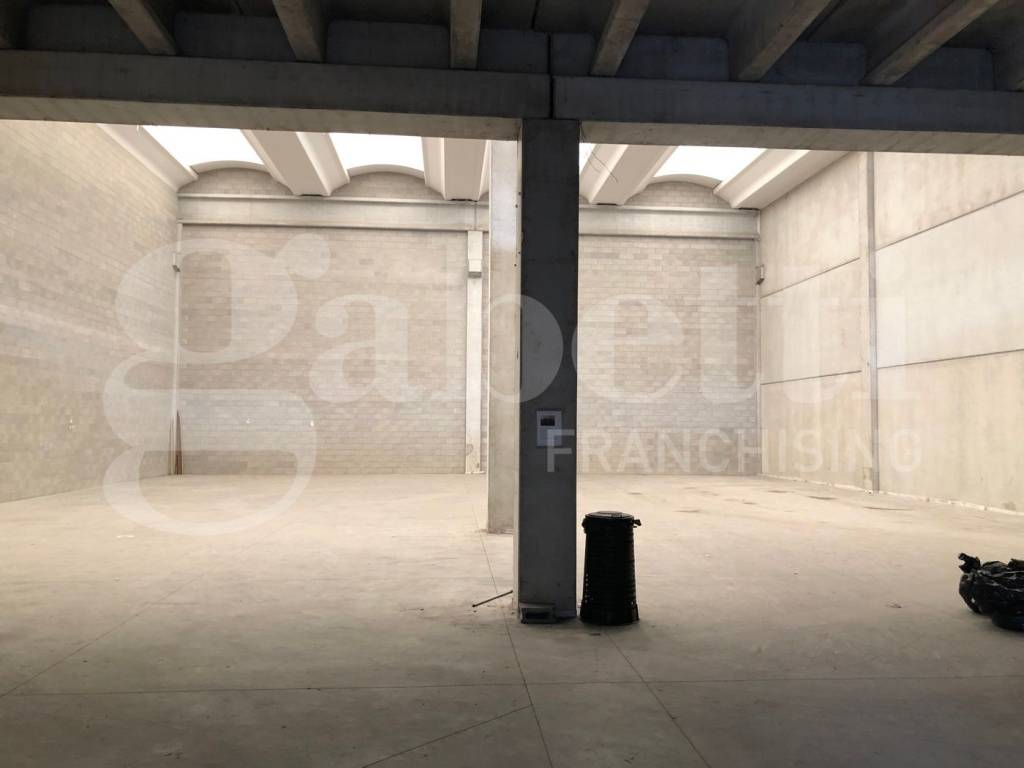 immagine annuncio 3 di 12