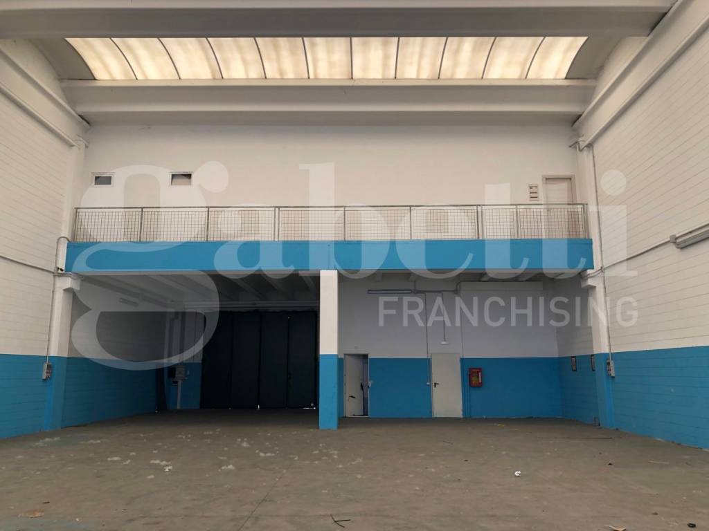 immagine annuncio 4 di 12