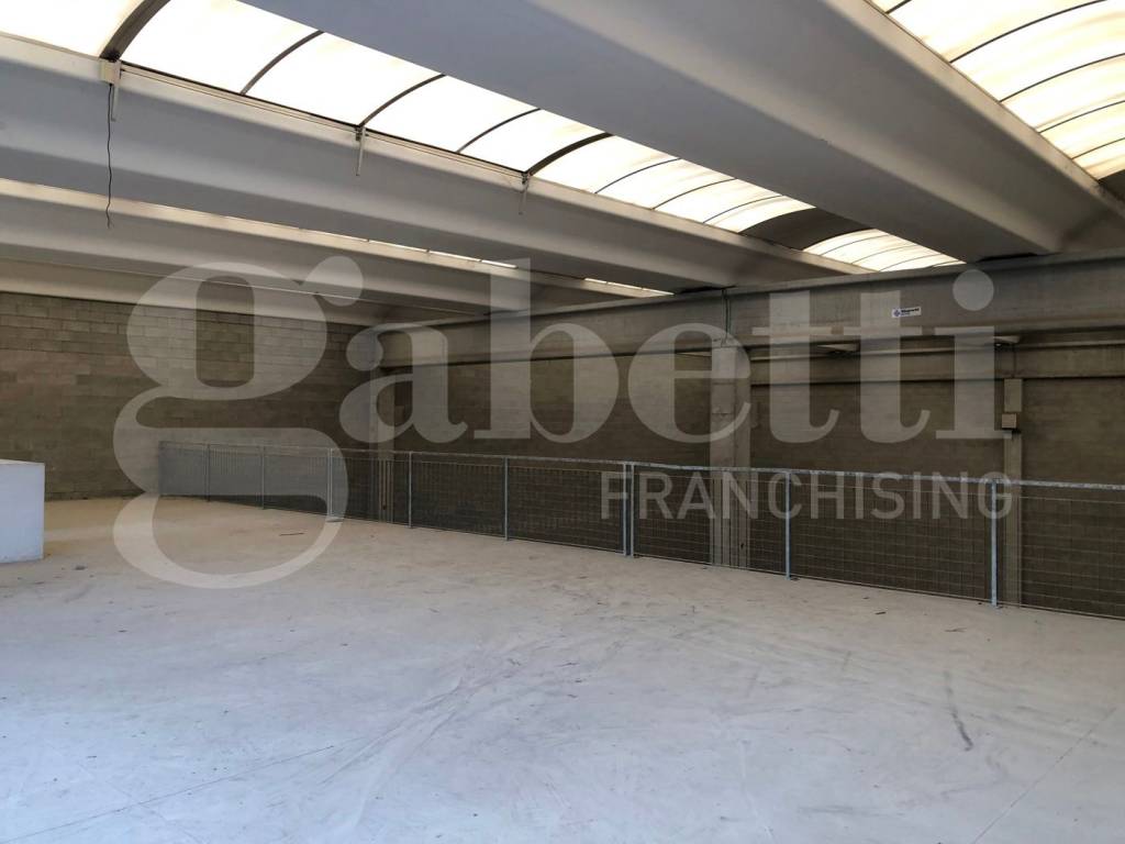 immagine annuncio 8 di 12