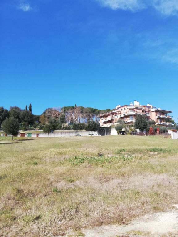 immagine annuncio 2 di 12