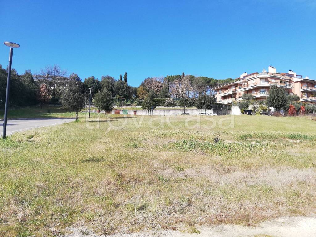 immagine annuncio 3 di 12