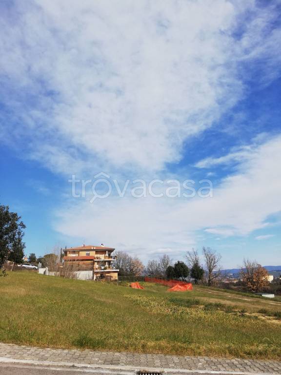 immagine annuncio 4 di 12