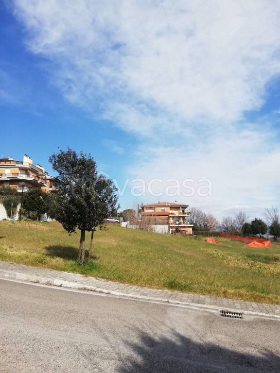 immagine annuncio 5 di 12