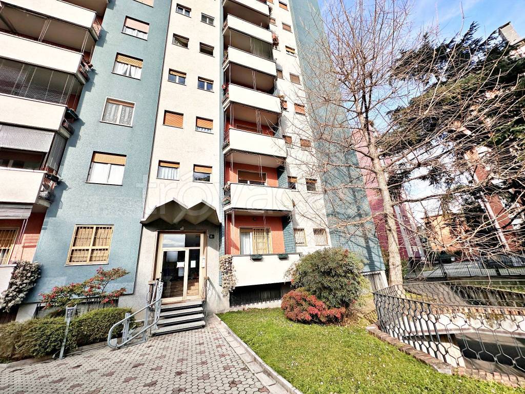 immagine annuncio 4 di 15