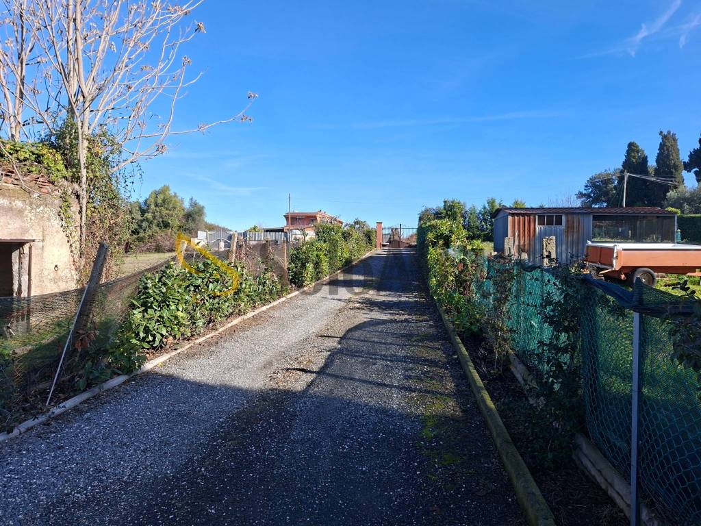 immagine annuncio 11 di 12