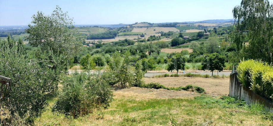 immagine annuncio 5 di 9