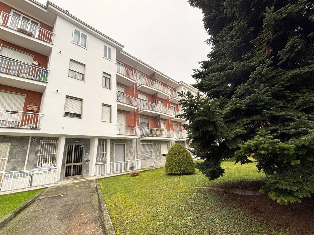 immagine annuncio 12 di 14