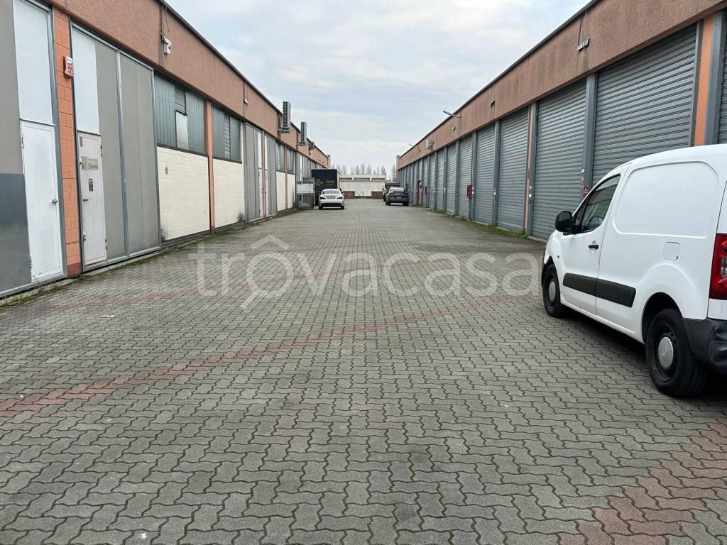 immagine annuncio 5 di 15