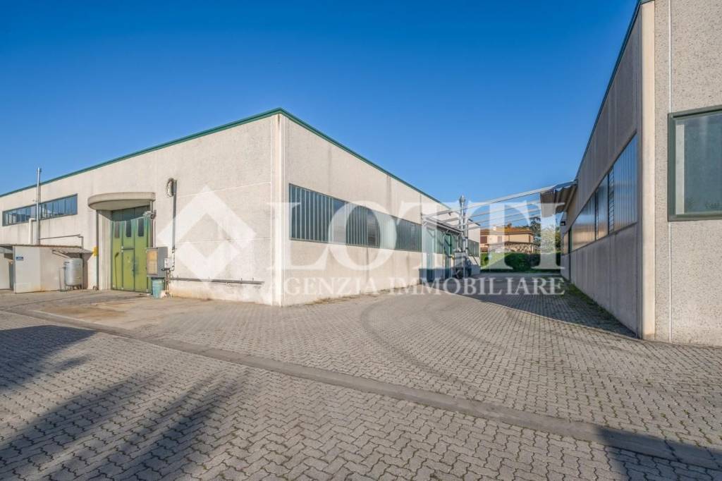 immagine annuncio 4 di 13