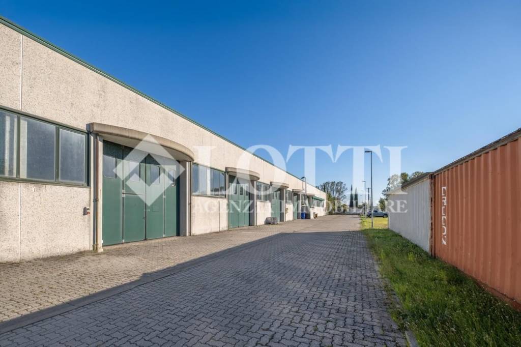 immagine annuncio 5 di 13