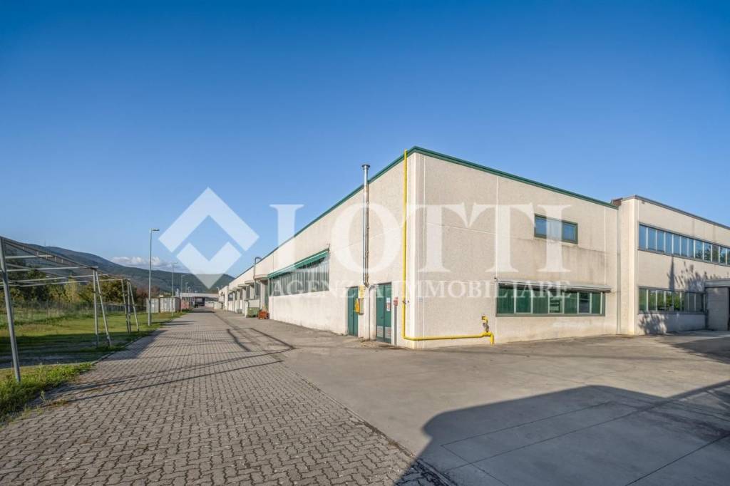 immagine annuncio 6 di 13