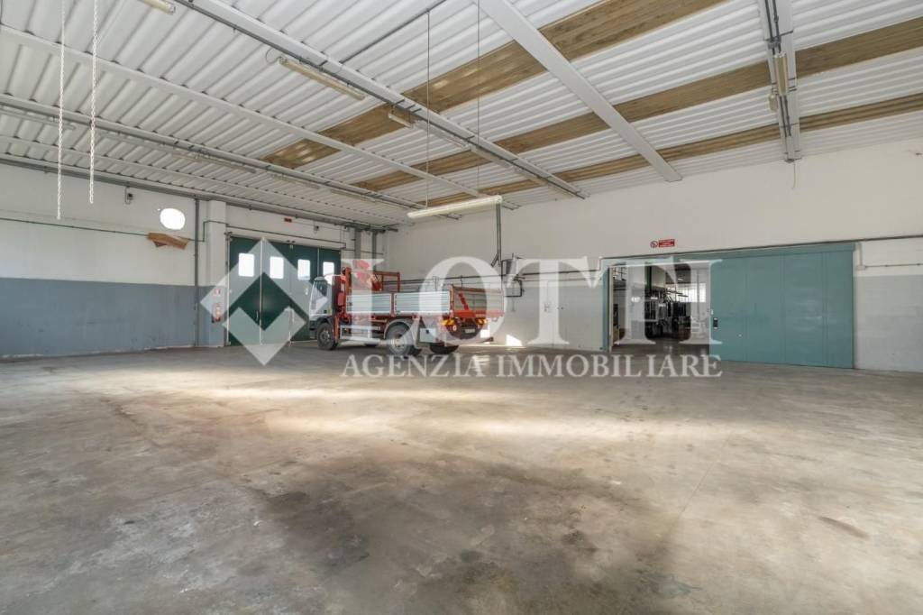 immagine annuncio 10 di 13