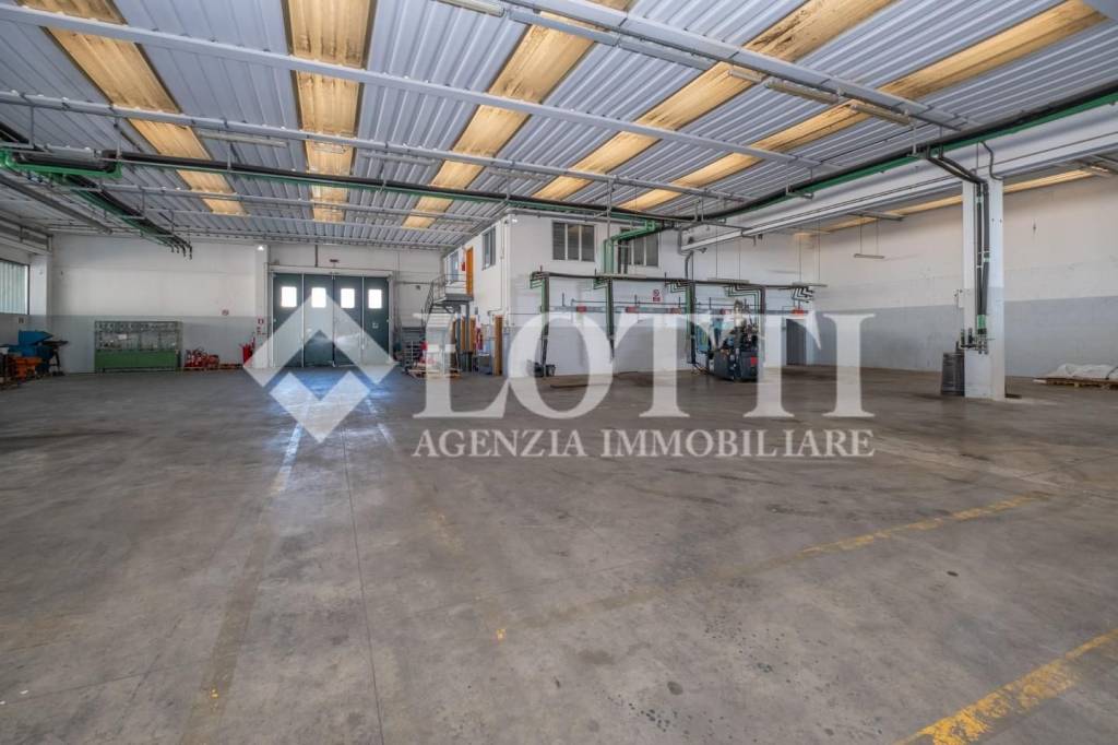 immagine annuncio 11 di 13