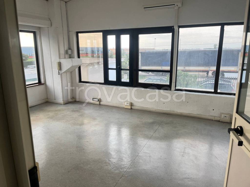 immagine annuncio 5 di 9