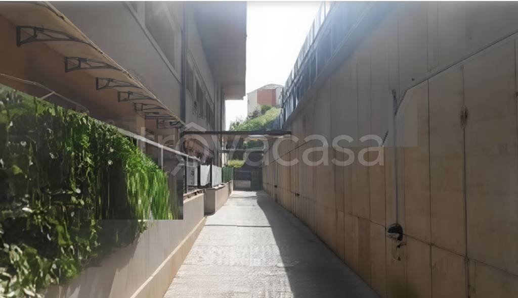 immagine annuncio 2 di 3